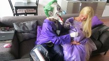 SPIDERMAN vs JOKER POOP PRANK! w/ Pregnant Frozen Elsa Anna Maleficent Pink Spidergirl!Sup