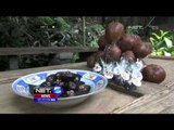 Cemilan Coklat Olahan dari Buah Salak di Magelang - NET5