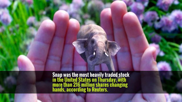 Snap Shares Leap 44 Percent in Trading Debut -