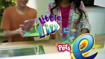 Moose Toys NEW Little Live Pets with Betty Spaghetty and Qixels 3D Star Wars The Force Awa