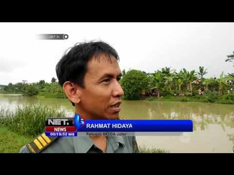 Buaya Muara Muncul Dekat Permukiman Warga Banyumas - NET24
