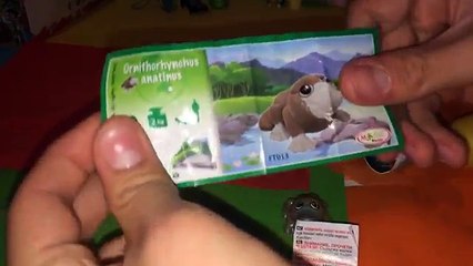 Киндер Сюрприз,Unboxing Kinder Surprise Eggs,Kinder Niespodzianka