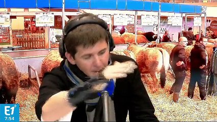 Jean-Baptiste Galloo se dit "pour un meilleur abattage directement dans les fermes"
