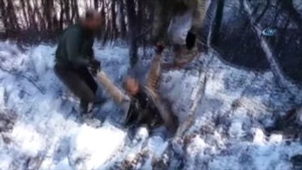 Sığınakta Saklanan Teröristin Yakalanma Anı Kamerada