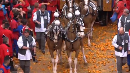 هذا الصباح-حرب البرتقال.. احتفالية سنوية بإيطاليا