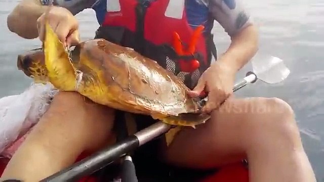 Sea kayakers rescue turtle in distress