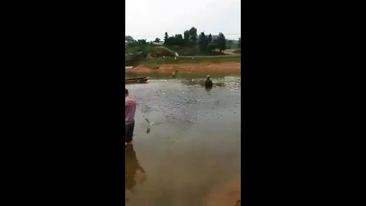 WooW 