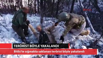 Sığınakta saklanan terörist böyle yakalandı