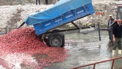 Osmaniye Kırmızı Altın" 6 Bin Ailenin Geçim Kapısı