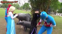 Spiderman Vs Elsa Frozen Going to Fishing Venom Captain American Fun Superheroes in Real l