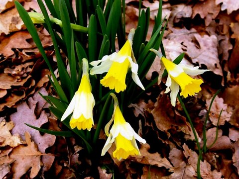 Ballade dans le GERS