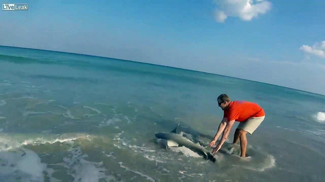 Il sauve un requin à mains nues sur une plage australienne