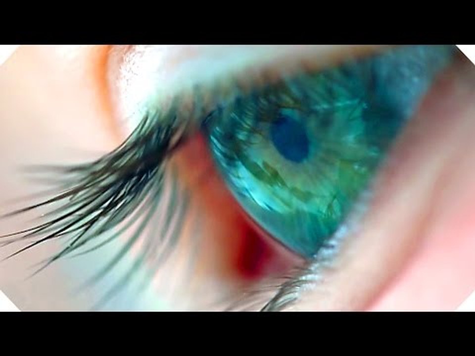 VOYAGE OF TIME Bande Annonce (Brad Pitt, Terrence Malick - Documentaire, 2016)