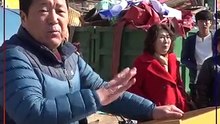 Corée du Sud : la fermeture du plus grand marché de viande canine serait une fausse promesse du gouvernement !