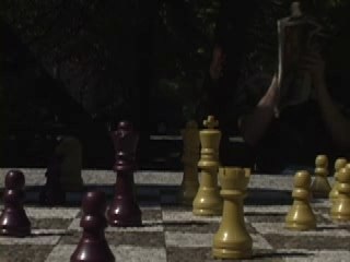 Chess Single Shot Short