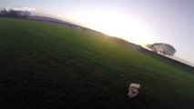 Fluffy dog chases drone around park