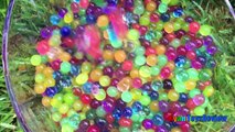 ORBEEZ POOL PARTY EGG SURPRISE TOYS in 1,000,000 ORBEEZ Shopkins Balloon Water fight Ryan ToysReview