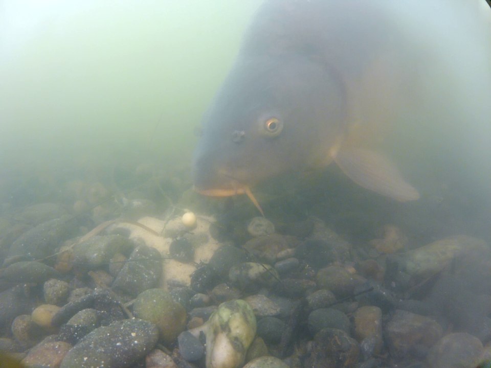 STICK UP AND DOWN SOLAR