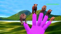Lion Daddy Attacks Elephant | Lion Vs Elephant Finger Family Nursery Kids Rhymes | Wild An