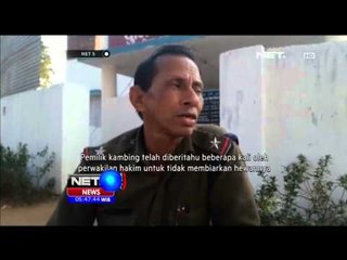 Sering Makan Rumput Tetangga, Seekor Kambing Ditahan Kepolisian India - NET5