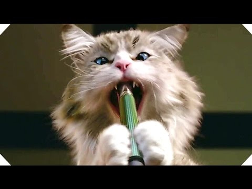 MA VIE DE CHAT - "Chat + Stylo = Zéro !" - Extrait VF (Kevin Spacey - 2016)