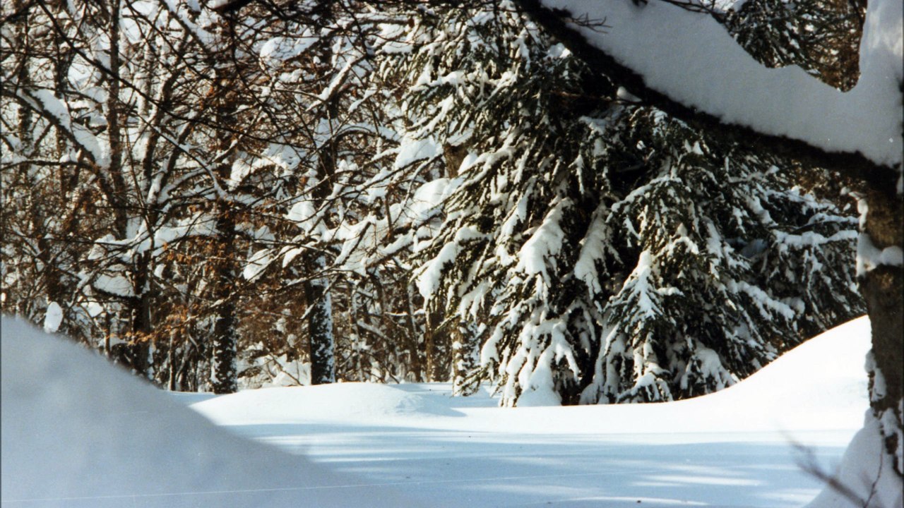 Hiver