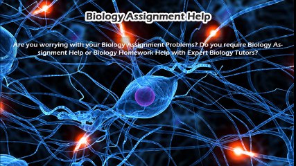 Assignment Solution Online