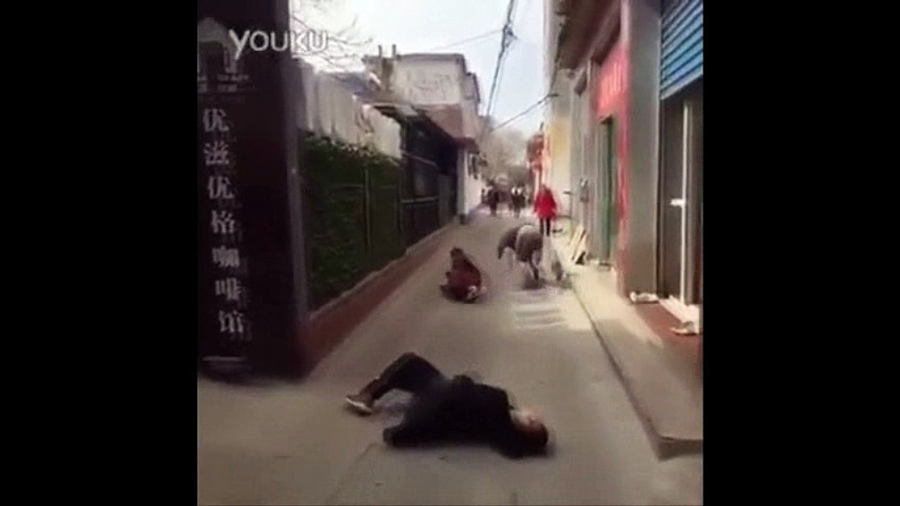 funny prank