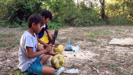Especial Steamed Freshwater Prawns Inside Coconut Fruit