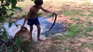 Wow! Two Boys Catch Big Water Snake In Jungle - Catch Big Water Snake With Hand