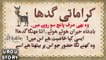 Karamati Gadha Or badshah-The Magical Donkey-Urdu-Hindi Animated Story-کراماتی گدھا کہانی
