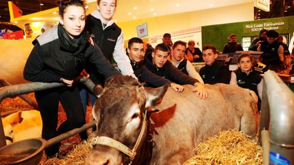 Salon de l'agriculture : la plus grande ferme de France