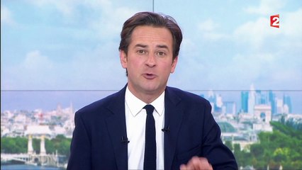 Présidentielle : "Si François Fillon se retire, Alain Juppé est prêt"