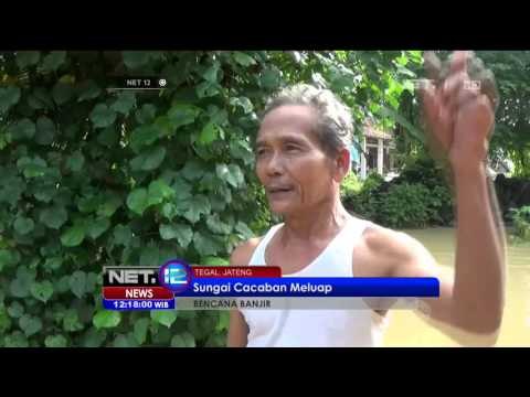 Ratusan Rumah di Tegal Terendam Banjir Akibat Sungai Meluap - NET12