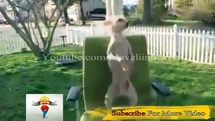 Latest Viral Whatsapp Funny Hot girls videos 2016 funny fail videos