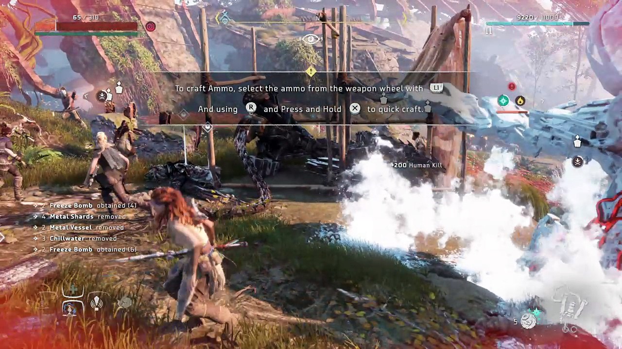 Horizon Zero Dawn™