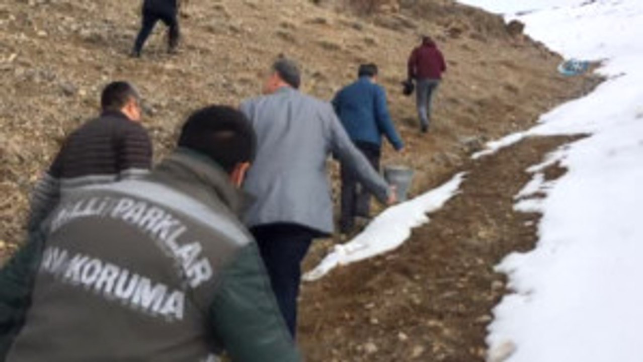 Van'da Yaban Hayvanları İçin Doğaya Yem Bırakıldı