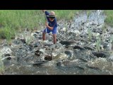 Amazing Fishing Video - Extreme Fishing - Most Popular Fishing & Hunting Video Clips