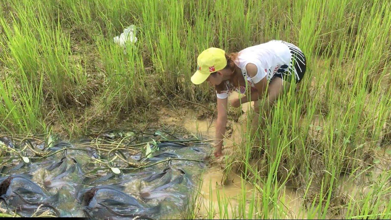 Peche silure au Leurre Team Vitamine - Surprise lors d'une session silure