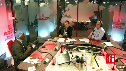 Nadjirou Sall : "La base de notre marché agricole doit être la culture vivrière"