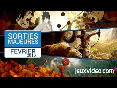 Sorties Jeux Vidéo - Février 2016