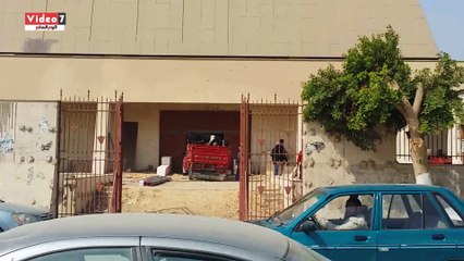 بالفيديو.. مقاول بمتحف سوهاج يذبح عجل لفك النحس وطرد لعنة الفراعنة