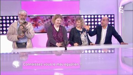 C'est au programme : la blague osée de Sophie Davant