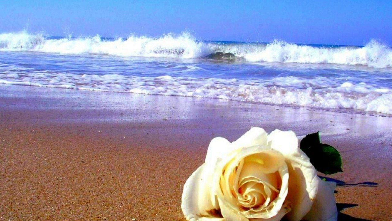 Sa nu ma-ntrebi-Gheorghe Gheorghiu