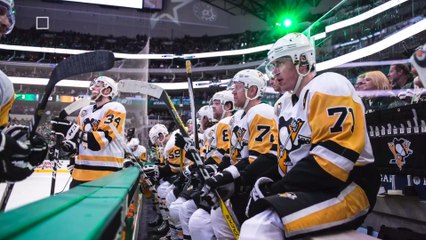Pittsburgh Penguins Gets Scolded By PETA