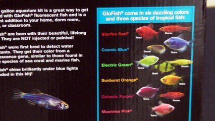 Tetra Glowfish 3 gallon Aquarium & Whisper Filter Unboxing Review