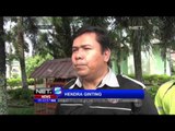 Satuan Polisi Kehutanan Medan Menyita 3 Satwa Dilindungi Milik Kepala Desa - NET5