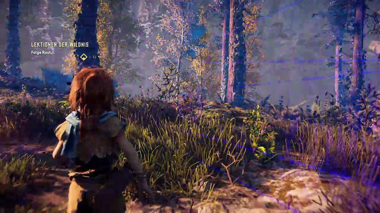 Horizon Zero Dawn™_20170303210339