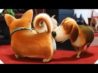 Voilà ce que vos ANIMAUX font quand vous n'êtes PAS là ! - COMME DES BÊTES