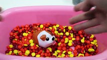 Chubby Puppies Bath Time with M&M Hide & Seek Surprise Toys